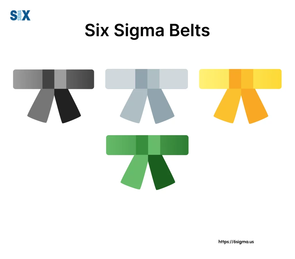 Image: Lean Six Sigma Belts