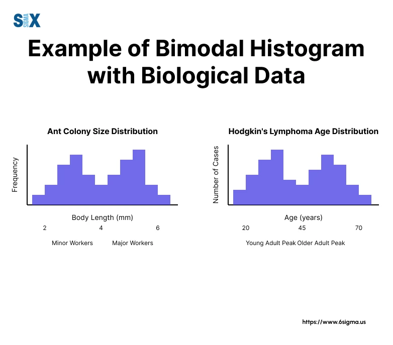 Image: Example of Bimodal Histogram