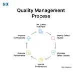 Image: Quality Management Process