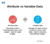 Image: Attribute Data vs Variable Data