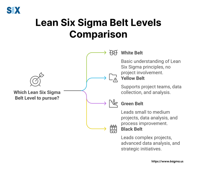 Image: Lean Six Sigma Belt Levels Comparison