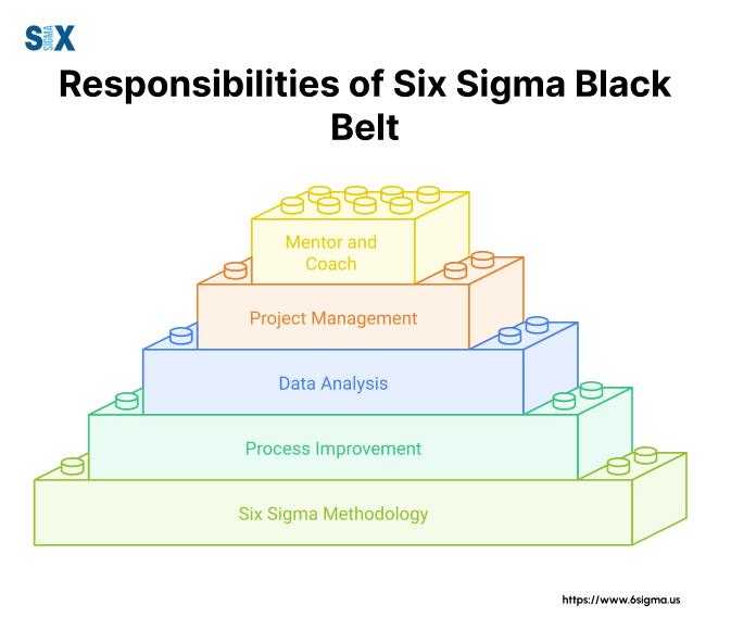 Image: Responsibilities of Six Sigma Black Belt