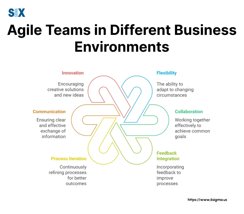 Image: Agile Teams in Different Business Environments