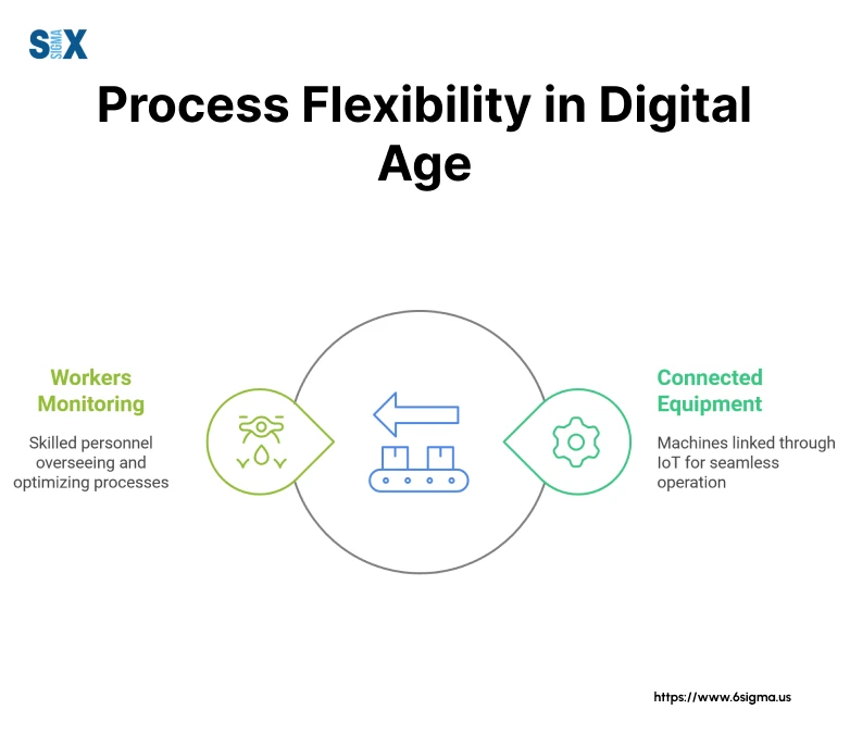 Image: Process Flexibility in the Digital Age