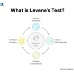 Image: What is Levene's Test?