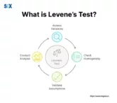 Image: What is Levene's Test?