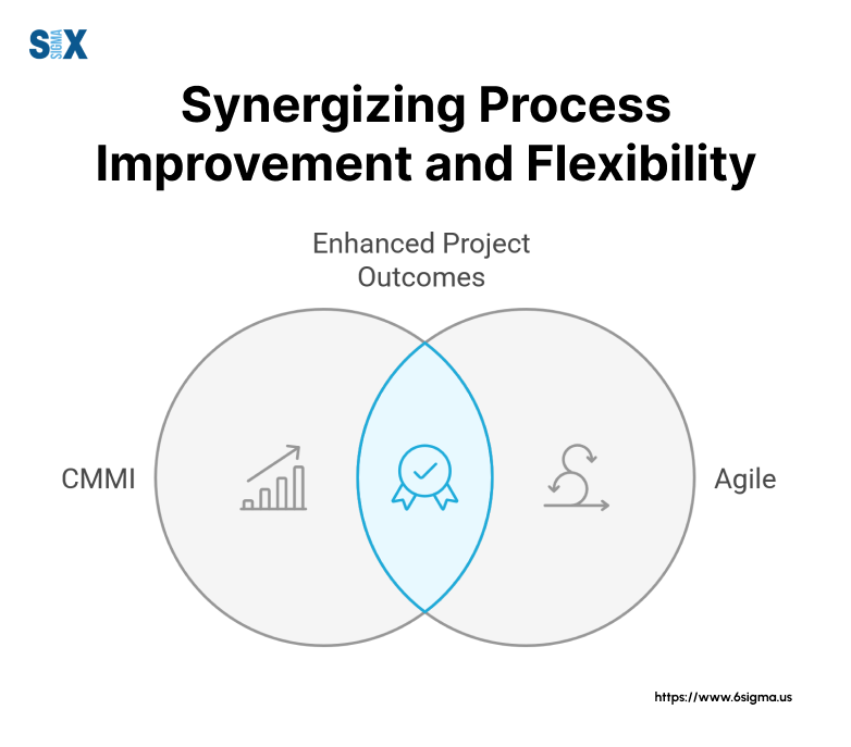 Image: Synergizing the Process Improvement and Flexibility